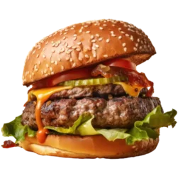 menu-burger-img8